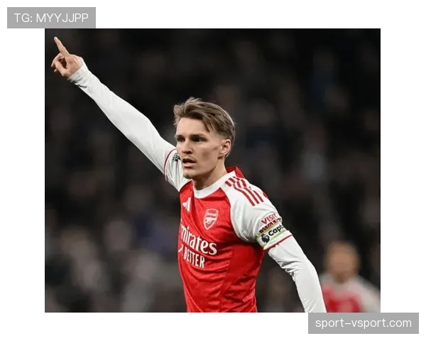 厄德高在国家队关键战中的表现与作用解析